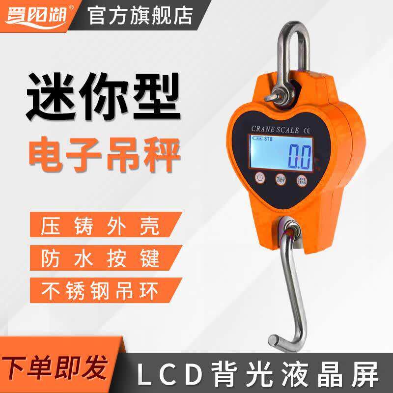 迷你便携式电子秤吊钩秤0.1-0.3吨2t1T吊磅挂磅吊秤直视手持秤