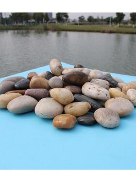 黄色机制鹅卵石彩色石子3-5cm园林铺路石透水胶粘石园艺花卉