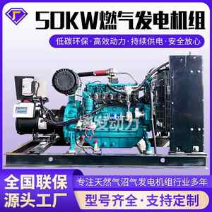 50kw燃气发电机组博发动力厂家小型50千瓦天然气沼气发电机