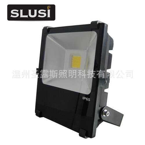 户外具LE工矿灯投光矿洞灯具W灯F灯投光D薄SLS-F300利多销