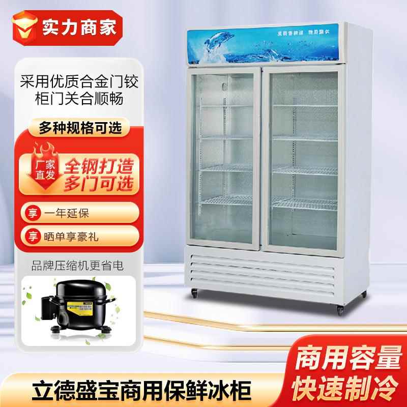 立德盛宝商用冰箱冰柜保鲜展示柜冷藏冰柜立式保鲜柜饮料柜啤酒柜