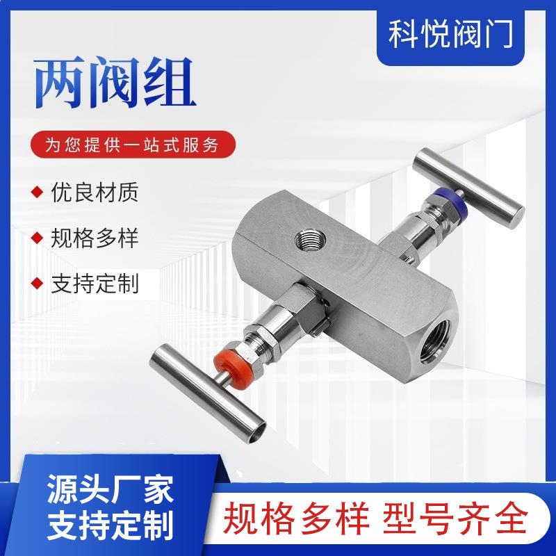 不锈钢阀组不锈钢二阀组一体化二阀组高压阀组二阀组针阀型二阀组