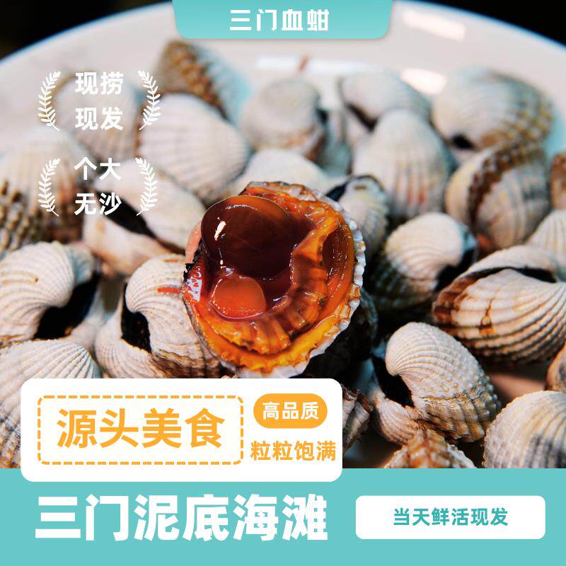 三门血蛤高端海鲜 台湾产地直送血蛤 温州乐清柳市血蛤
