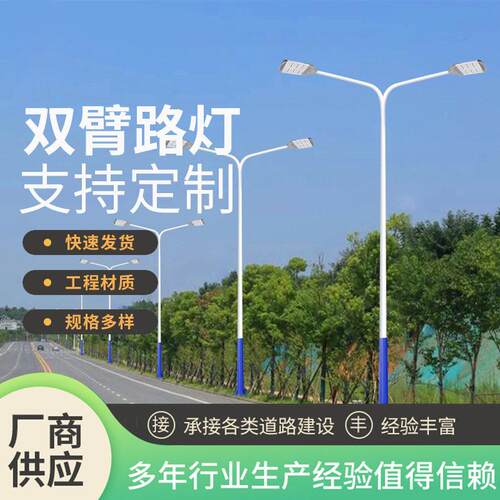 双臂led路灯一体化户外灯市政工程道路照明9米15米厂家供应灯