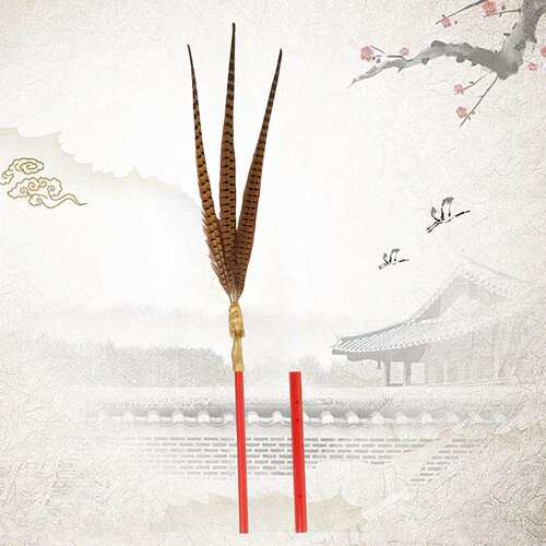 祭孔（祭祀炎帝）大典八(六)佾舞翟籥道具祭礼乐舞文武生佾生手羽