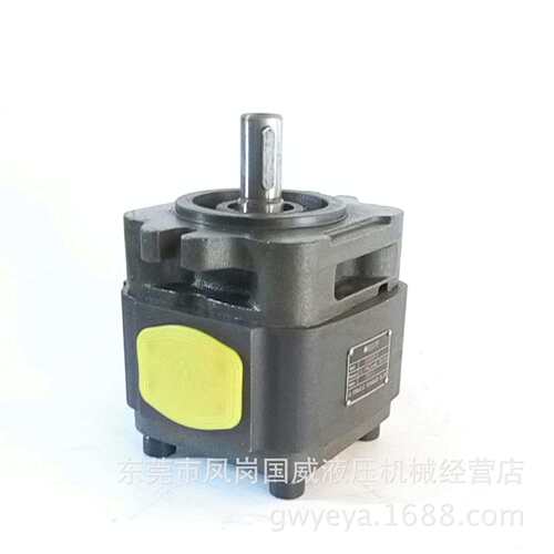 BIG50100液压泵 齿轮泵 内啮合齿轮泵HDS原装替代HESAPP 齿轮泵