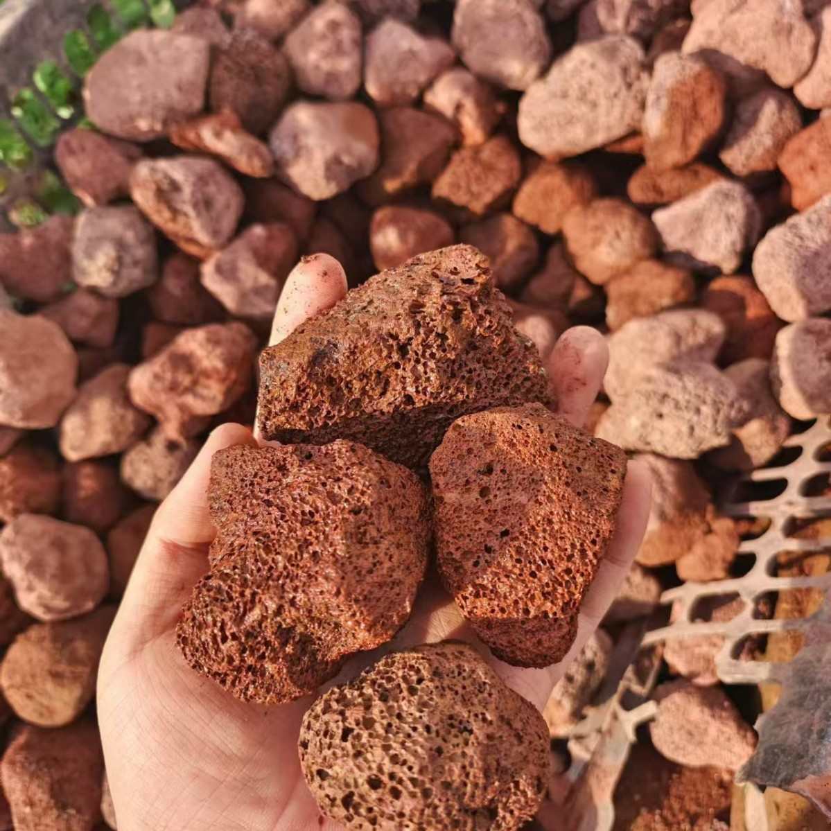 厂家批发精选红色火山石过滤水族鱼缸净水用红色火山石黑色火山岩