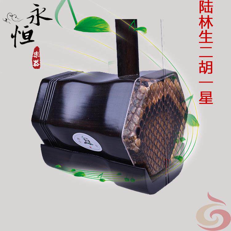 陆林生二胡一星花梨木二胡初学演奏
