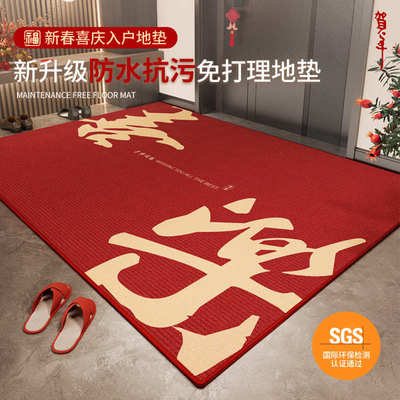 入户地垫2024新款高级感进门大门口耐脏防滑地毯家用红色玄关脚垫