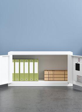 能保码密PLX-M111柜电子密保密智柜多节矮柜文件柜顶柜单节柜档柜