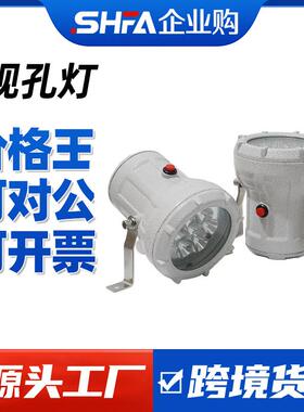 LED防爆视孔灯12/24/36V视镜灯化学BSD反应容器釜照明灯射灯