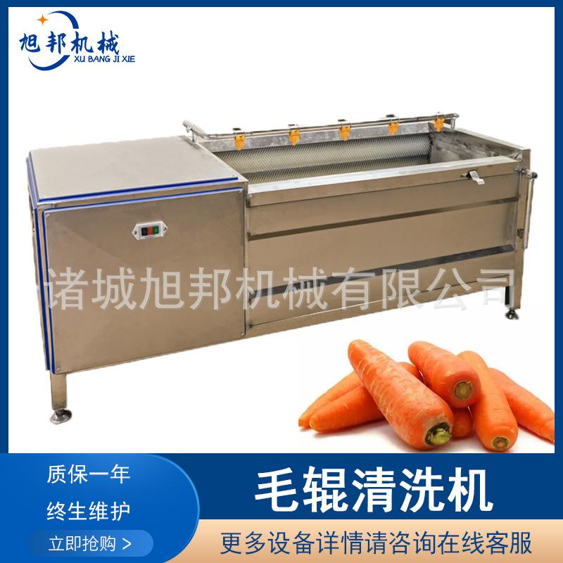 毛刷蔬菜脱皮机地瓜土豆洗泥去皮机多功能荔枝螺去杂毛辊清洗机