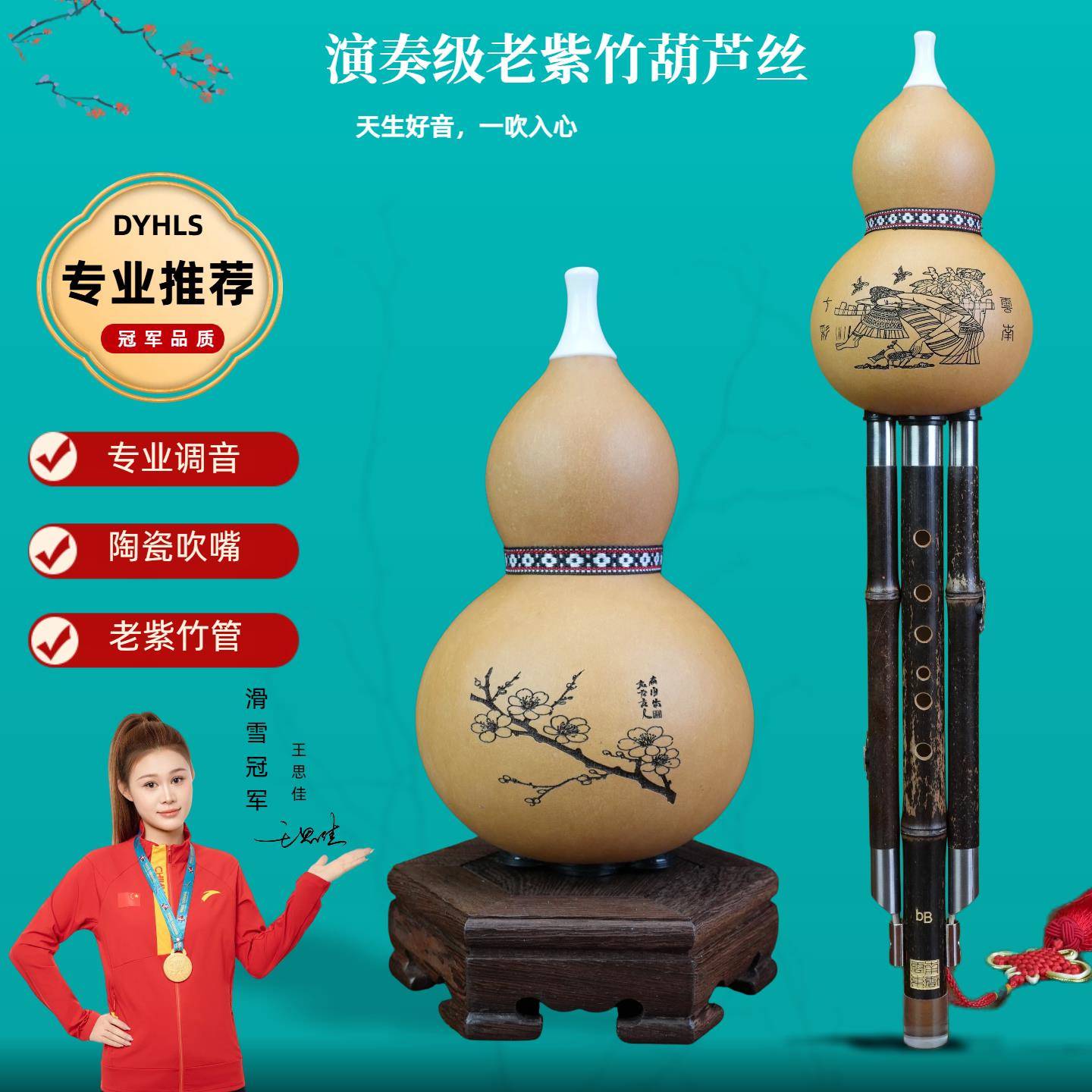 云南东云初学专业演奏型天然葫芦紫竹葫芦丝乐器降B/C/小d/F/GA调