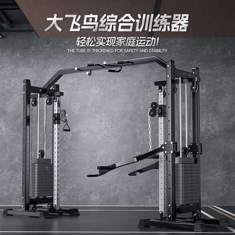 大飞鸟龙门架健身器材家用多功能一体健身器材高位下拉综合训练器