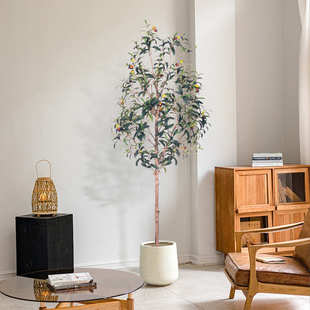 厂家直供仿真绿植橄榄树盆栽家居客厅室内落地大型装饰假树