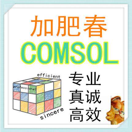 加肥春 comsol 代做 仿真 咨询 技术支持 技术服务
