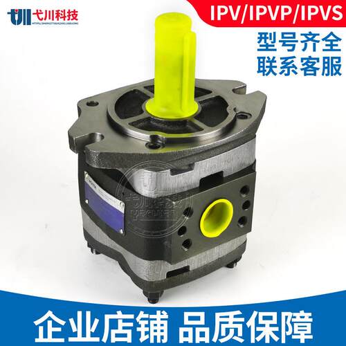 福伊特齿轮泵IPV/P3/4/5/6/7-8/13/32/40内啮合德国voith液压油泵