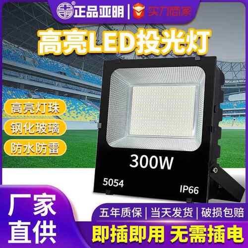 工地工程夜市摆摊移动插电LED投光灯庭院50W探照灯带电线照明灯