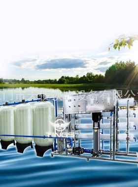 高品反渗纯水备229全不锈设钢R透O过质滤原水处理纯净水设备