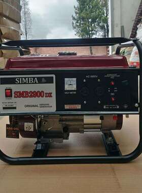 2900款发电机手动2.5-3W