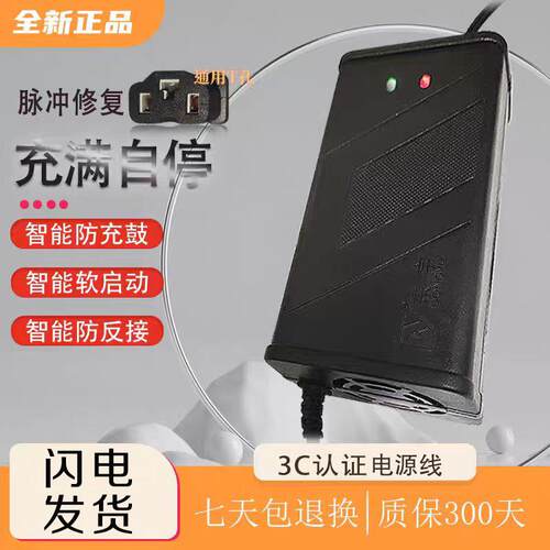 东宇智能自动断电电动车充电器48V 60V