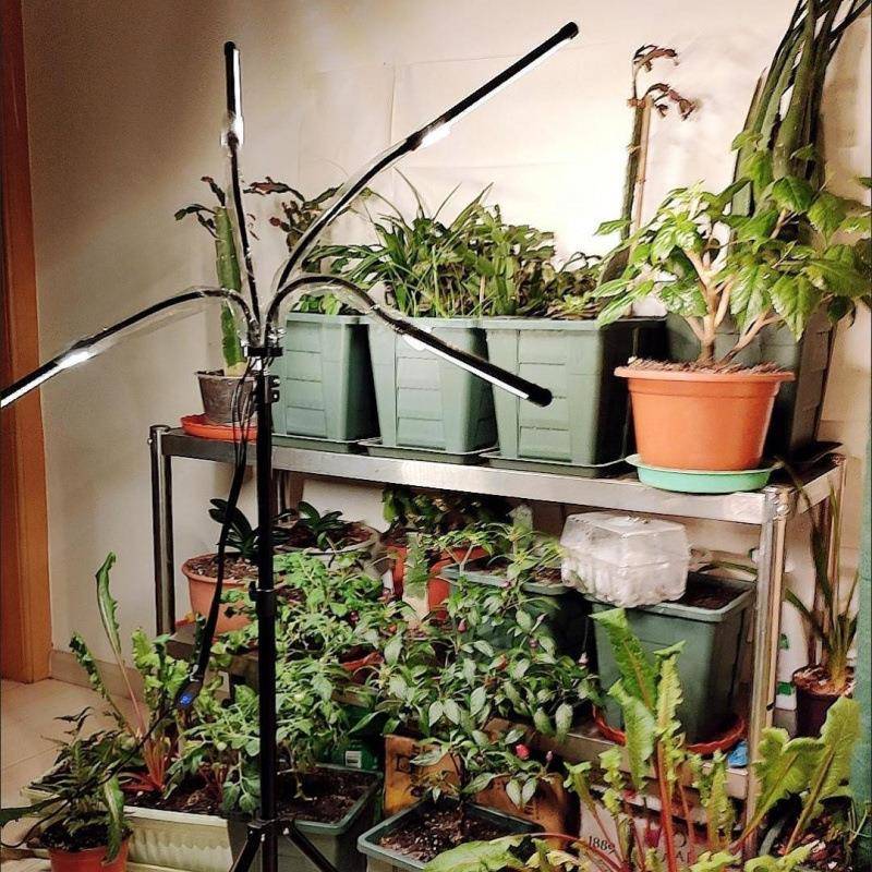 e光d全光l谱仿太阳植色物补光灯多肉上防QLQ徒蔬菜花卉绿植室内灯
