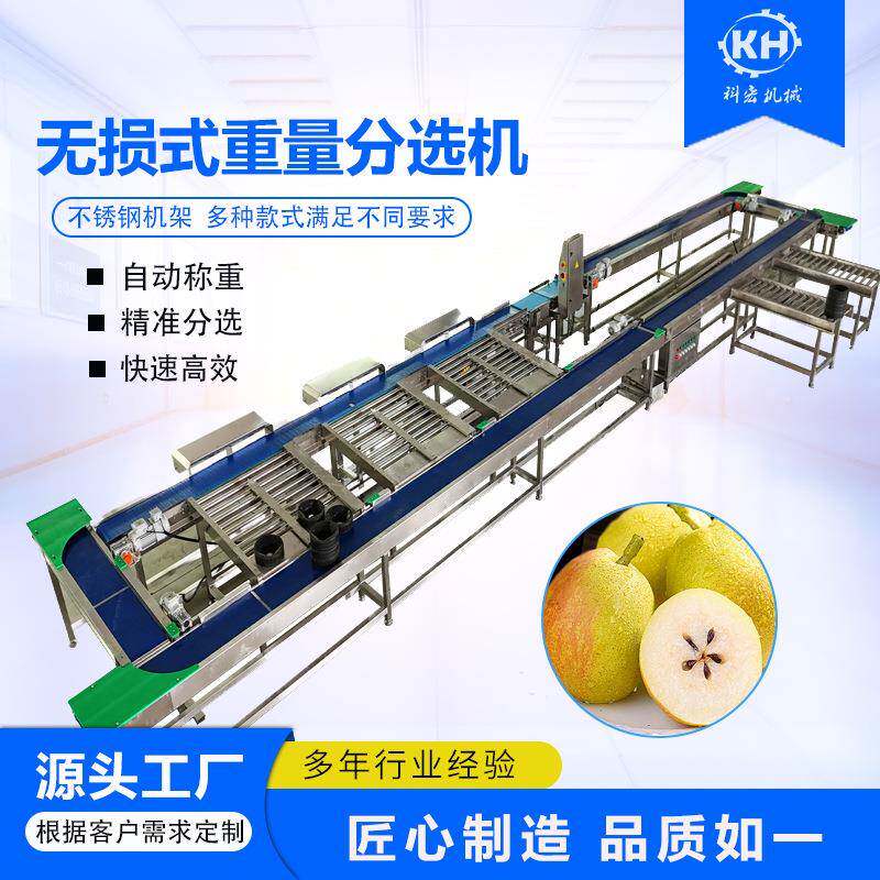 机械无损式重量分选机菠萝榴莲香梨皇冠梨智能分拣重量分选