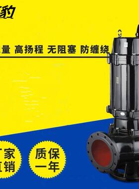 温州直销污水排污小型水泵220V40WQ10-18-1.5排污泵