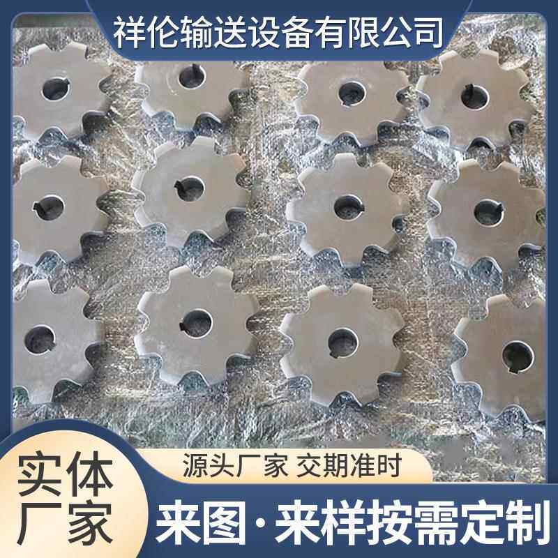不锈钢齿轮安装简单工业机械传动轮输送机大节距双排齿轮齿条链轮