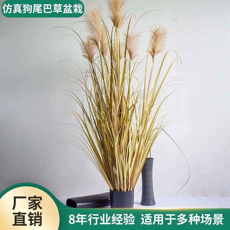 仿真洋葱草盆栽园林绿化盆景家居装饰大型芦苇草蒲苇草盆栽绿植