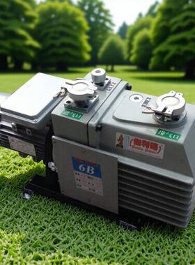 进口真机械二泵生空产厂家高验室双AUE单级系列上海100型旋实泵