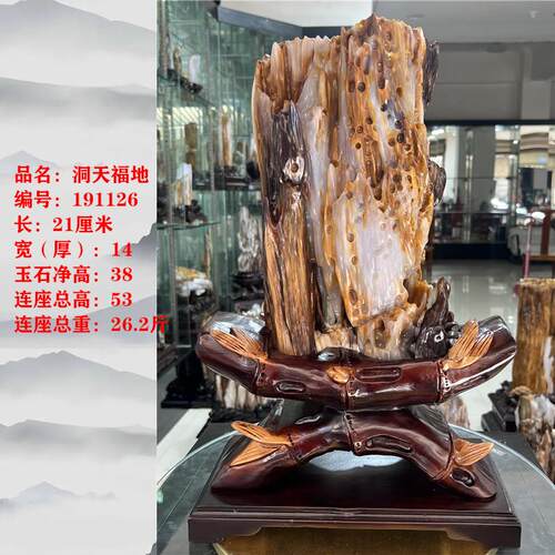 缅甸树化玉天然树化石原石木化玉奇石木化石家居客厅书房博古摆件