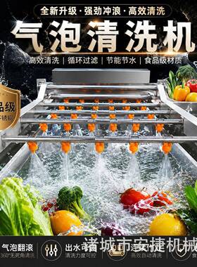 果安捷蔬气泡清莓洗洗机 辣椒板栗喷淋菜机 蓝叶粽清洗设备