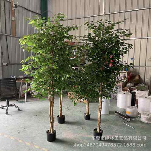 仿真榕树杆真木你榕树盆栽小迷榕仿真绿叶植LL-42仿真树室内装饰