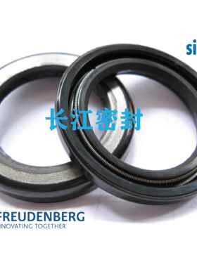 高压骨架油封 CFW BAKHDSN 28.56-42-5.5 德国超高压骨架油封