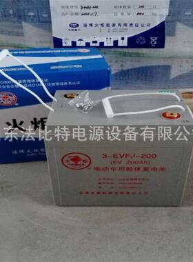 火炬3-EVFJ-200动力蓄电池6V200AH电动扫动车 现货含税