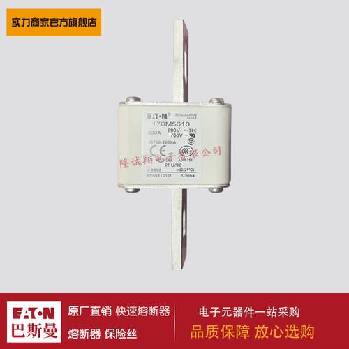 熔断器170M5692 170M5693 170M5694 170M5695 170M5696 170M5697