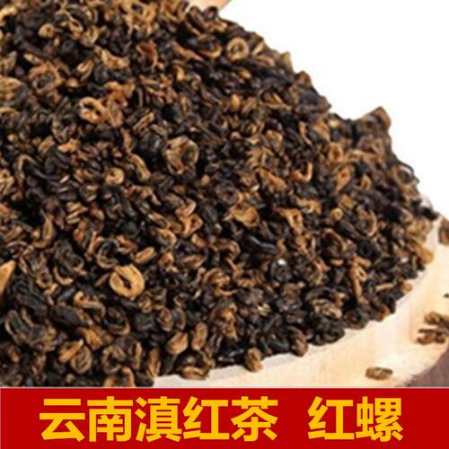 云南凤庆滇红茶 金曲螺红茶红碧螺 2025年明前春茶金疙瘩
