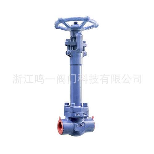 锻钢不锈钢低温闸阀F04F16L超低温加长杆禁油脱脂承插焊闸阀