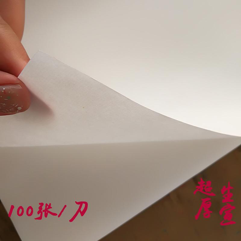 安徽纸尺宣纸书法国宣画练习画创949作特净皮四加厚生宣书用宣纸