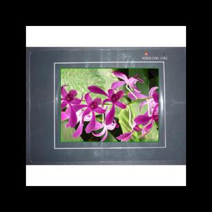 维修威纶触摸屏MT4300L MT4300T MT4300C