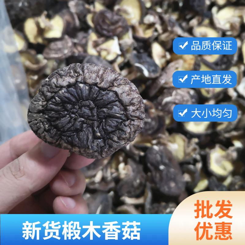 福建椴木香菇干货蘑菇食用菌冬菇干香菇250g农家香蕈肉厚营养山珍