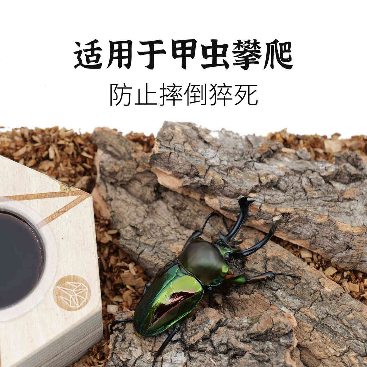 牧野虫社甲虫树皮造景攀爬木垫材独角仙昆虫锹甲花金龟长戟大兜虫