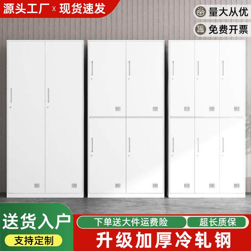 钢制更衣柜办公室铁皮柜子员工储物柜带锁财务凭证柜收纳柜文件柜