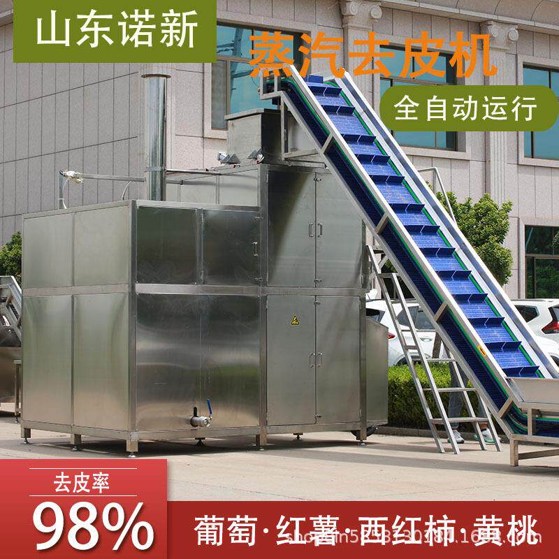 全自动土豆马铃薯蒸汽去皮机红薯西红柿物理爆皮设备诺新