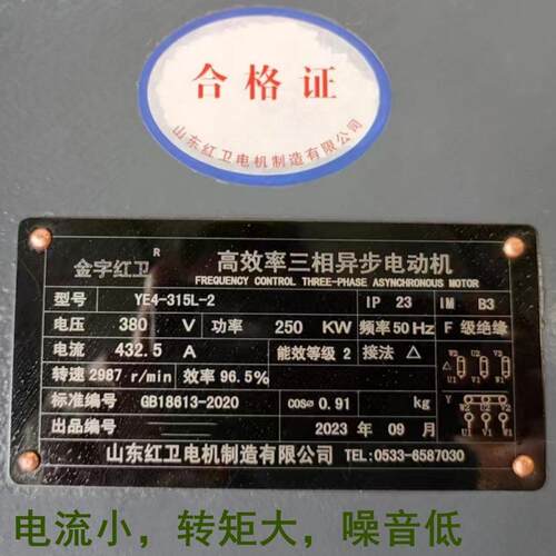 山东源头厂家直供YE4-315L-2/250WYE4系列三相异步电动机质保