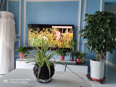 如何看待海信65E4F 65英寸4K智慧全面屏电视?爆被忽悠