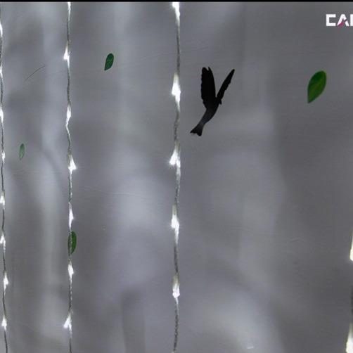 横向3米下挂3米滴水窗帘灯串10挂320颗LED节日圣诞婚庆背景窗帘