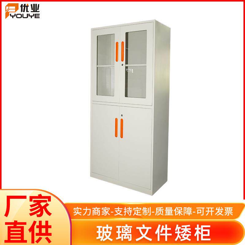 玻璃文件柜办公室书房储物柜冷轧钢板落地玻璃门文件档案柜子