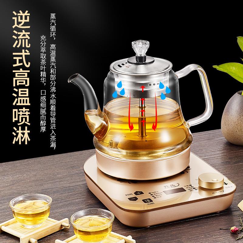 黑茶专用喷淋式煮茶器小型玻璃蒸茶器全自动蒸汽办公室烧水壶泡茶